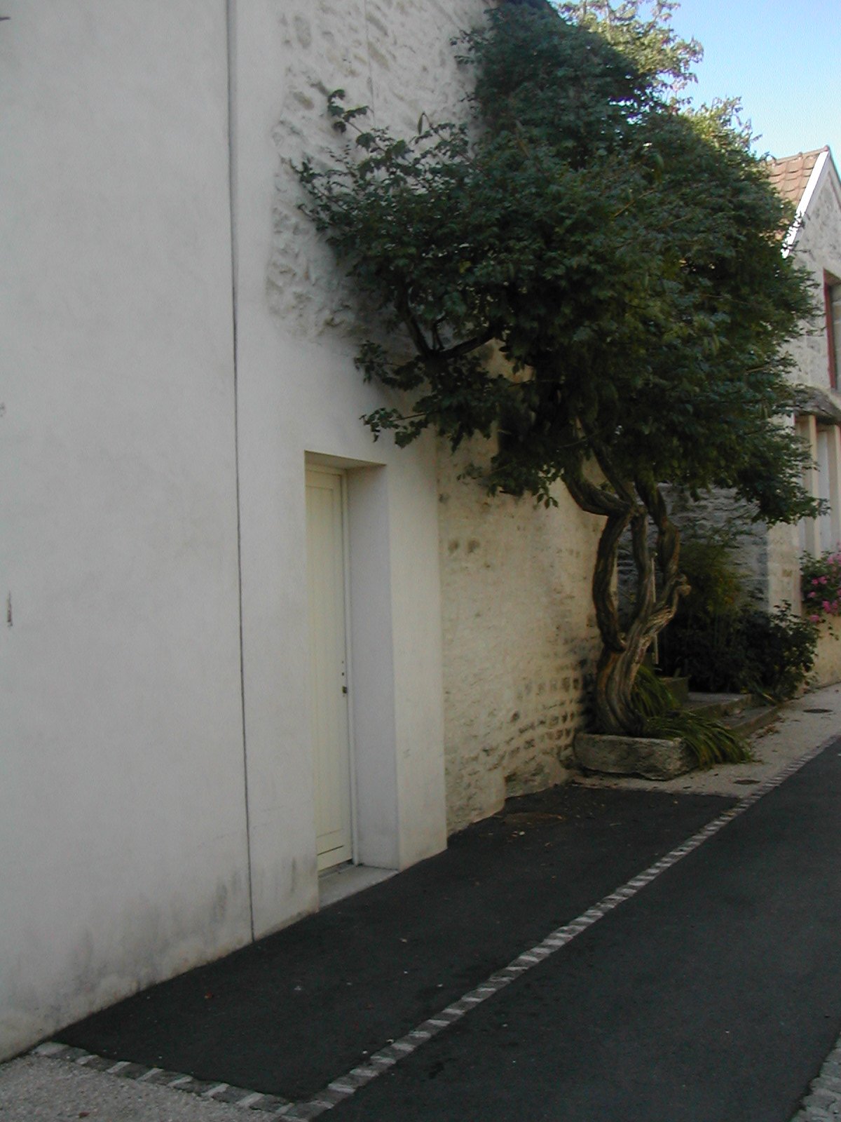 dans le village